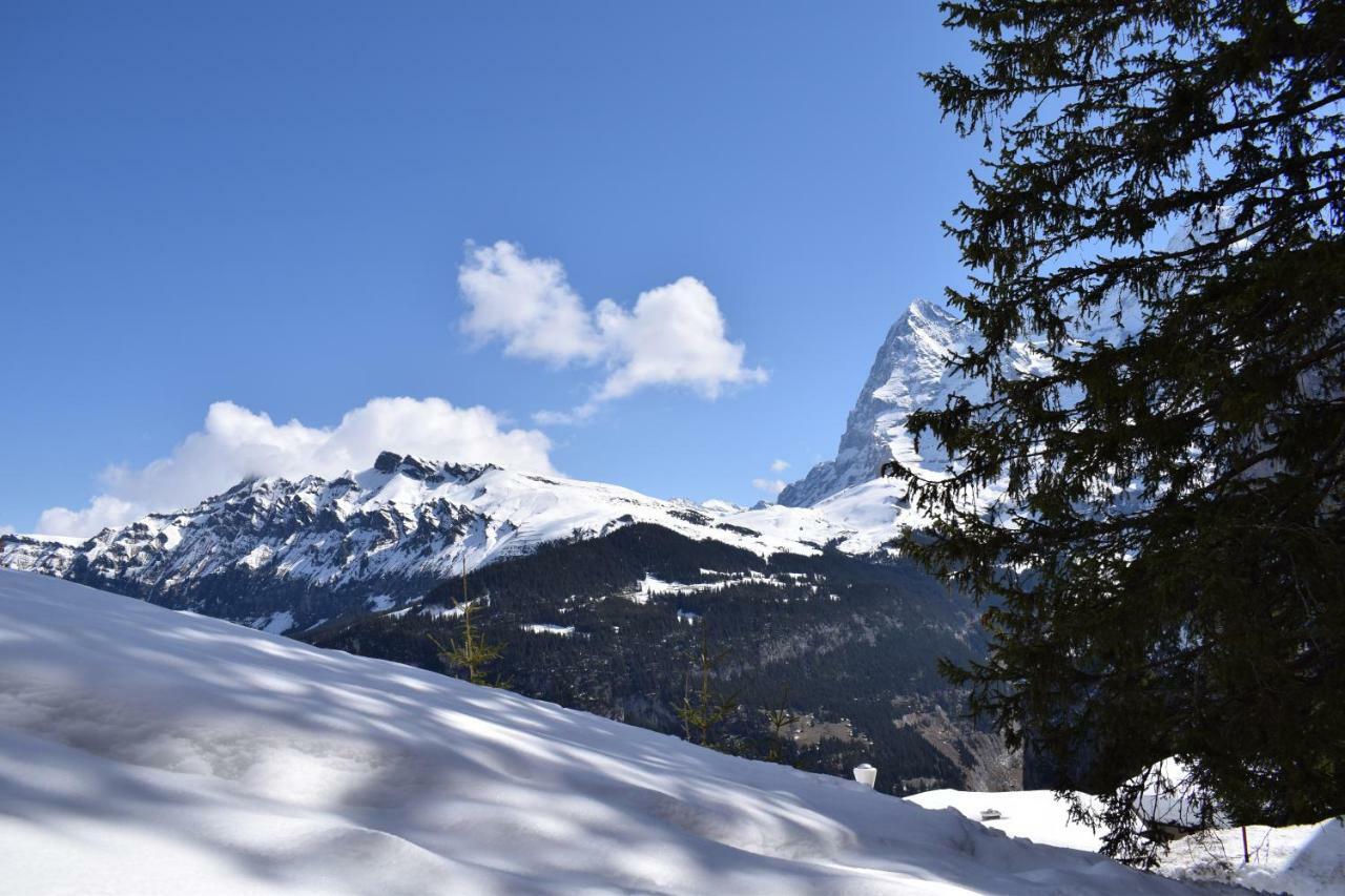 Sportlodge Muerren Εξωτερικό φωτογραφία